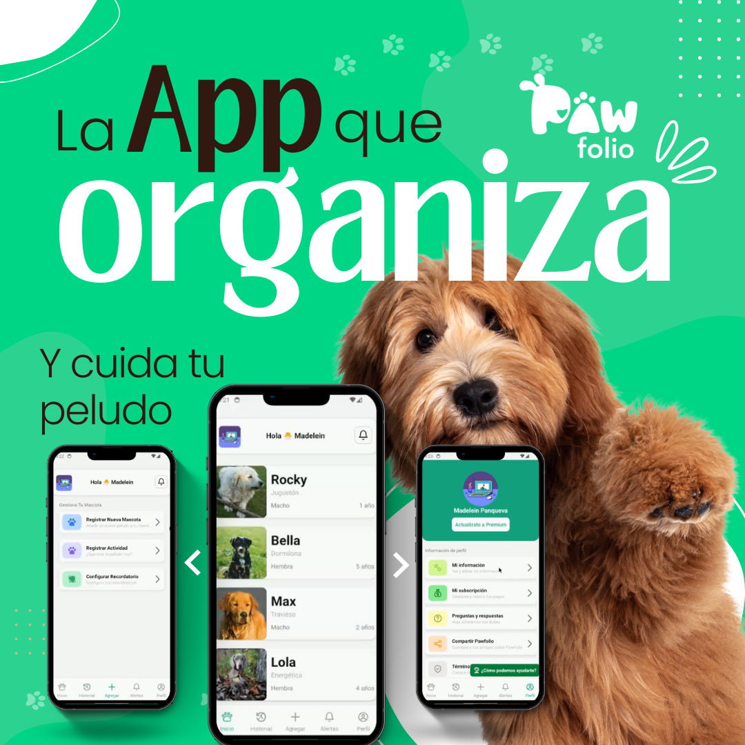 Pawfolio - Perfiles para mascotas